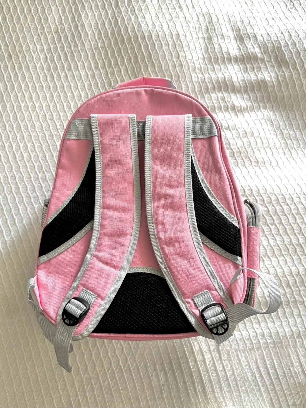 Cat Space Backpack Carrier in Pink